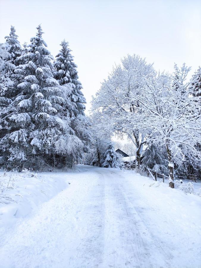 Boho-Style In Winterberg - Zentral & Natur Exterior foto